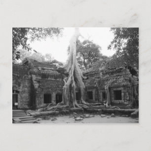 Ta Prohm Postcard