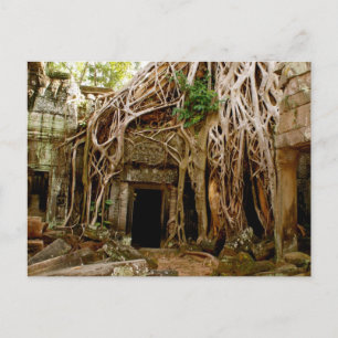 Ta Prohm Postcard