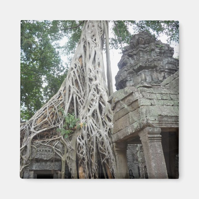 ta prohm roots magnet (Front)