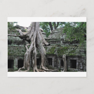 ta prohm temple  in cambodia postcard