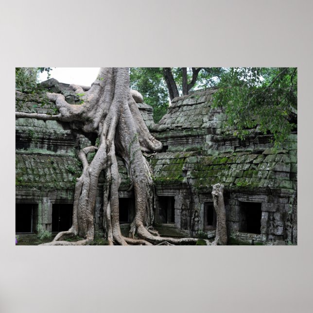 ta prohm temple  in cambodia poster (Front)