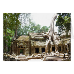 ta prohm tree