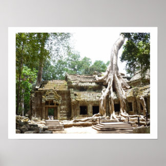 ta prohm tree border poster