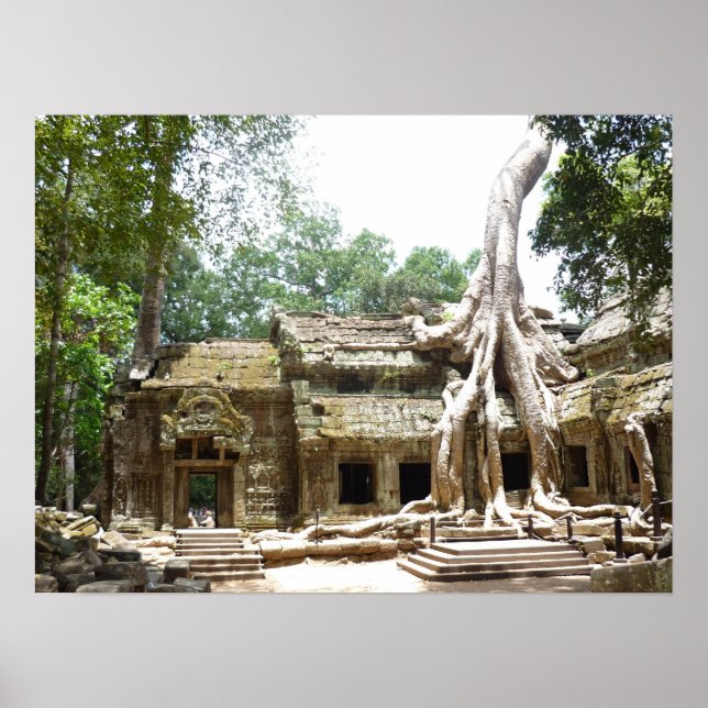 ta prohm tree poster (Front)