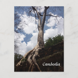 ta prohm tree root postcard