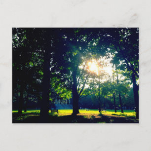 Tabaret Hall Lawn Postcard
