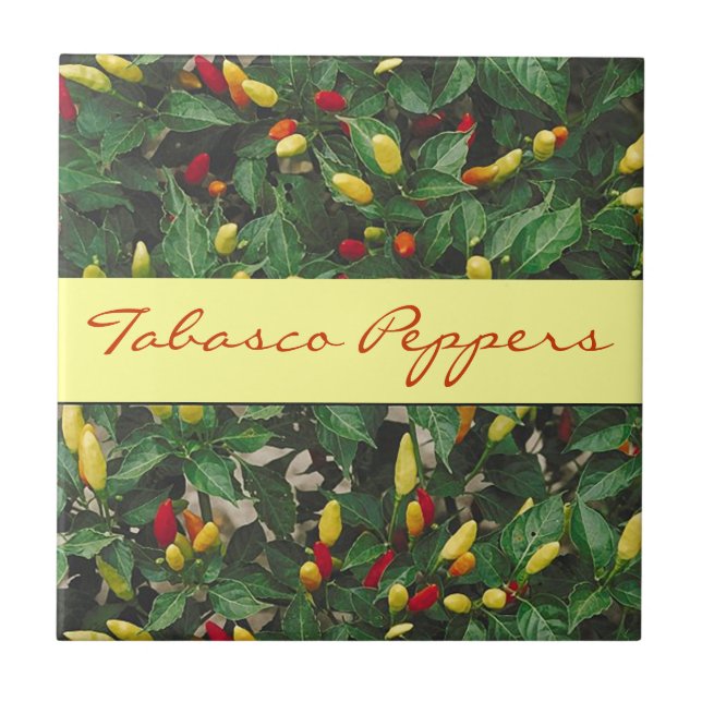 Tabasco Peppers Hot Chilli Red Yellow Pepper Plant Tile (Front)