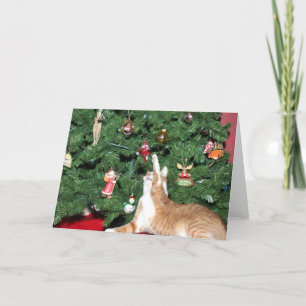 Tabby and Christmas tree Holiday Card