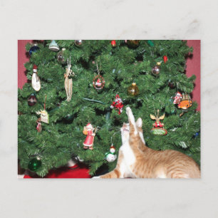 Tabby and Christmas tree Holiday Postcard