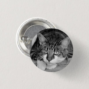Tabby and White Cat Face 3 Cm Round Badge