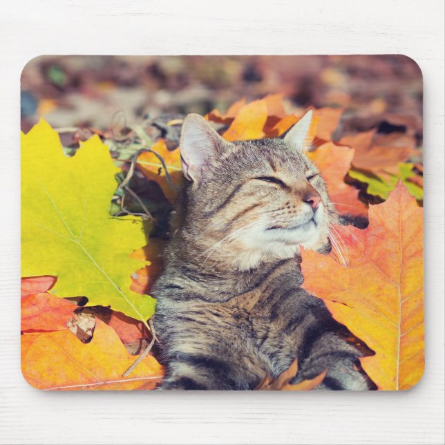 Tabby Basking in the Foliage Mouse Pad (Front)