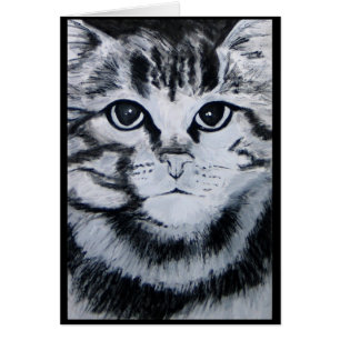 Tabby Cat