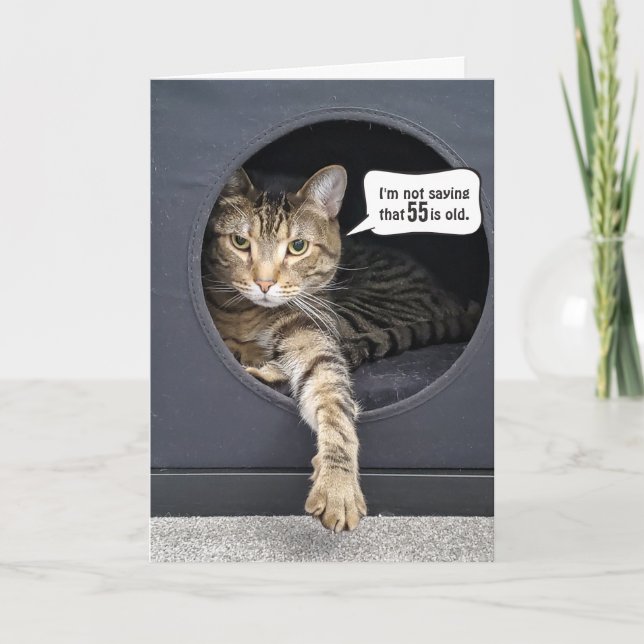 Tabby Cat 55th Birthday Humour Card (Front)