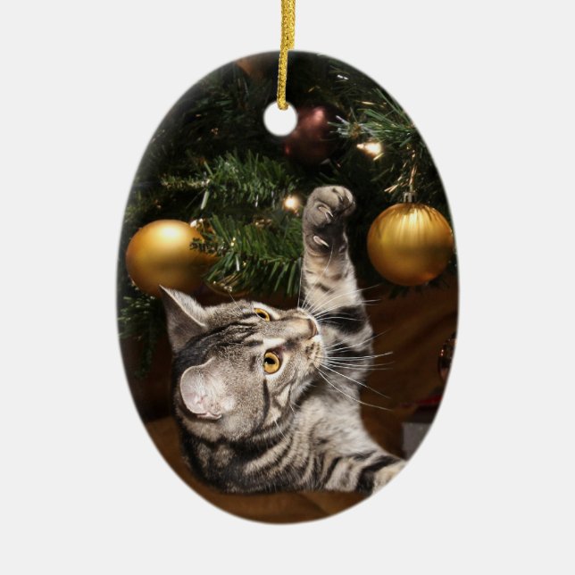 Tabby cat and Christmas tree Ceramic Tree Decoration (Front)