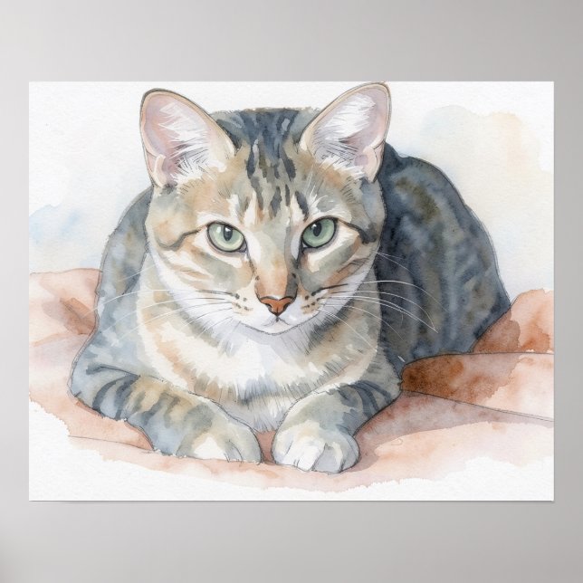 Tabby Cat Art Poster (Front)