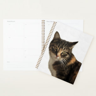 Tabby Cat Artistic Portrait On White Background Planner