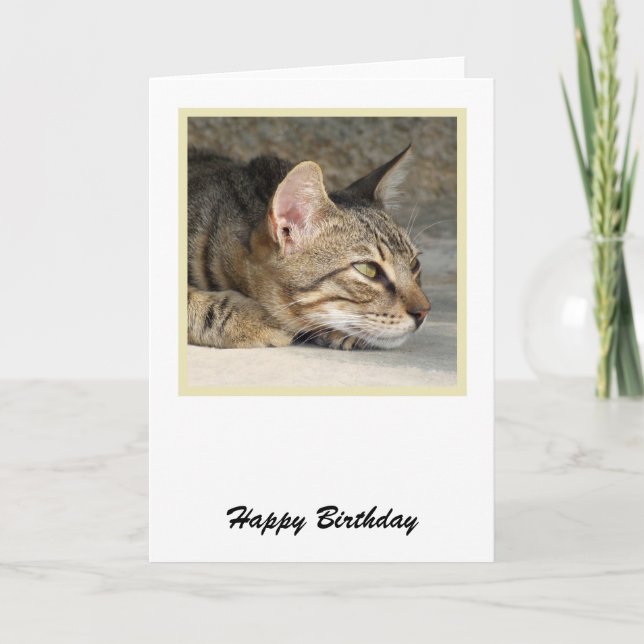 Tabby Cat Birthday Card (Front)
