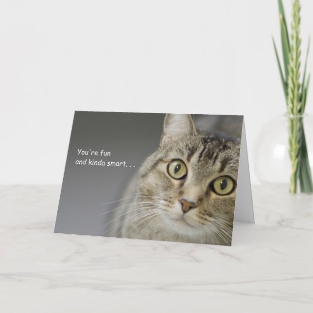 Tabby Cat Birthday Card by Focus for a Cause (Front)