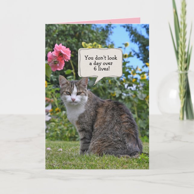 tabby cat birthday humour card (Front)
