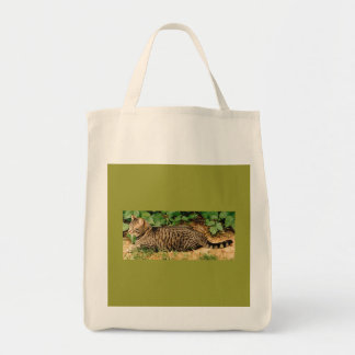 Tabby Cat canvas bag