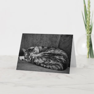 Tabby Cat, card