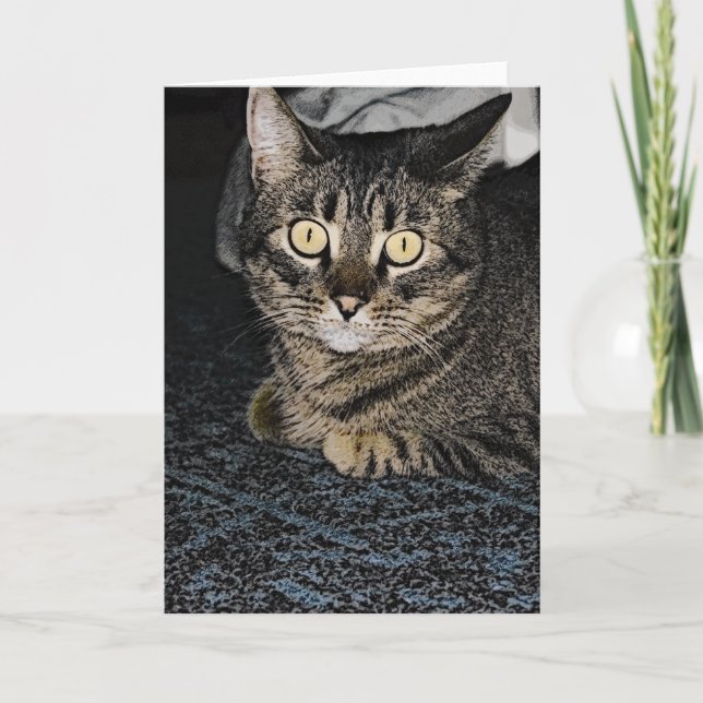 Tabby Cat Card (Front)