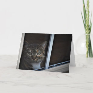 Tabby Cat Card