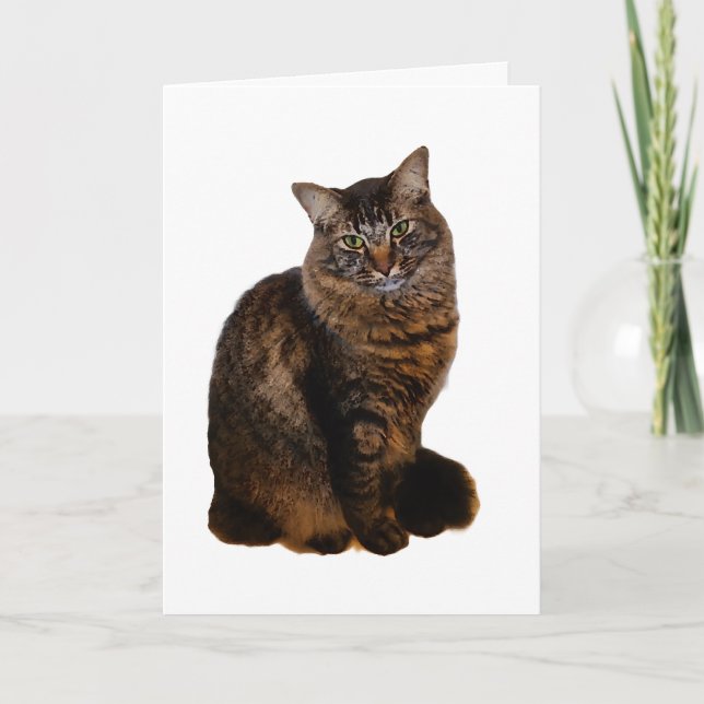 Tabby Cat Card - Blank Inside (Front)