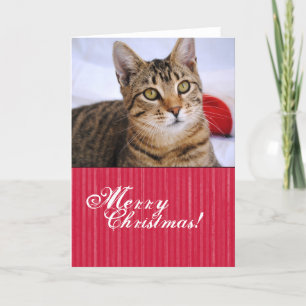 Tabby Cat Christmas Card