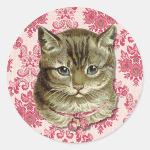 Tabby cat classic round sticker