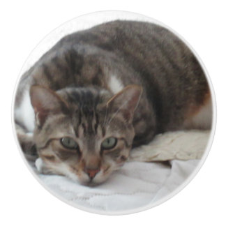 Tabby Cat Custom Ceramic Knob