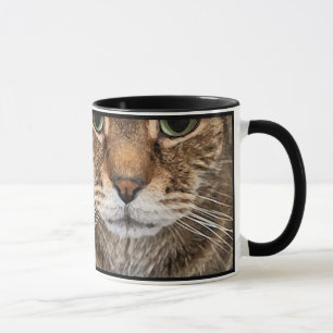 Tabby Cat Face and Paws - Funny Feline Design Mug