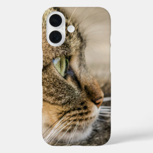 Tabby Cat Face Close-up iPhone 16 Case