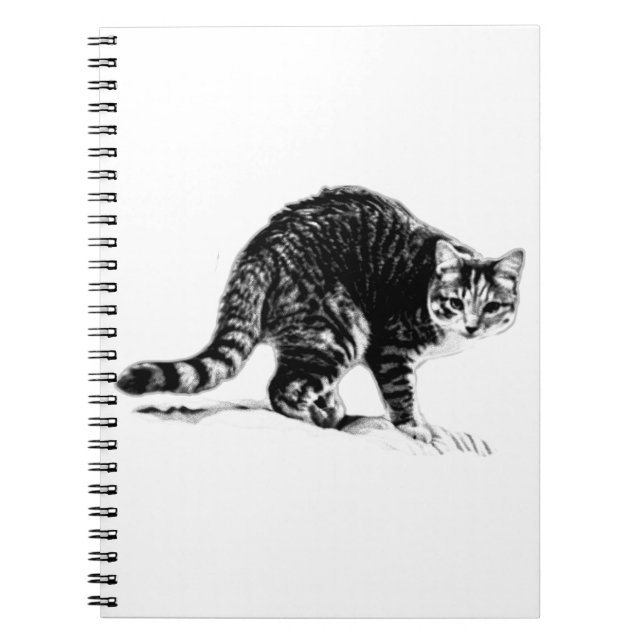  Tabby Cat Full‑Body Monochrome Portrait Notebook (Front)