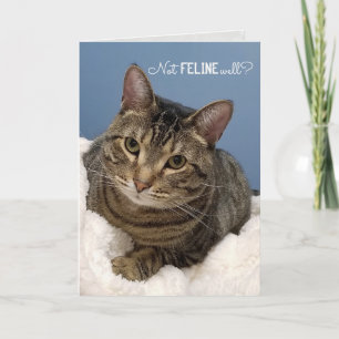 Tabby Cat Get Well Soon  Card