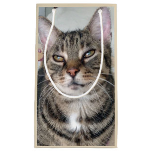 Tabby Cat Gift Bag