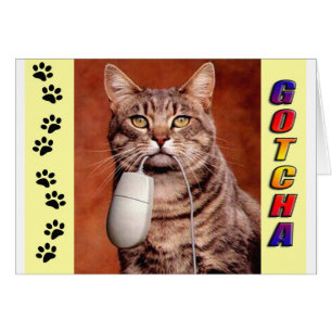 Tabby Cat Gotcha