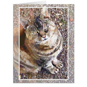 TABBY CAT GREETING CARD