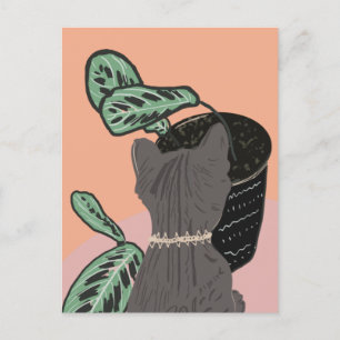 Tabby Cat Grey Plants Thank You  Postcard