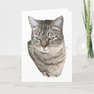 Tabby Cat Head Study Greeting Card