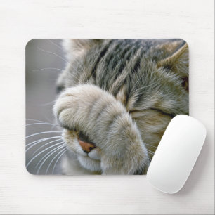 Tabby Cat Humour Mouse Pad