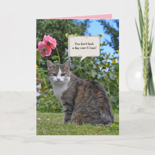 tabby cat in garden birthday card