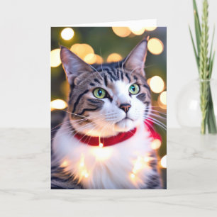 Tabby Cat In Holiday Lights Card