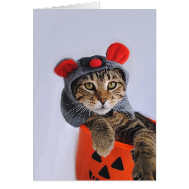 Tabby Cat In Mouse Costume Card (Front)