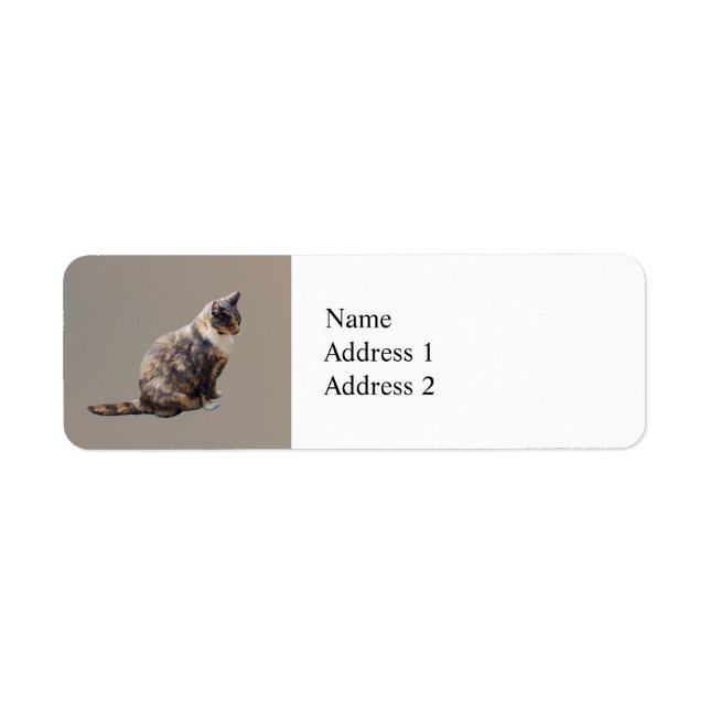 Tabby Cat in Shades of Brown (Front)