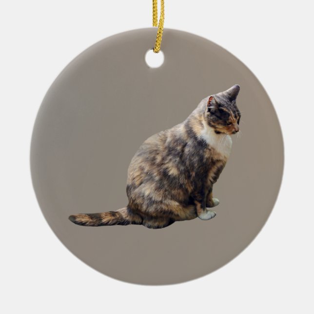 Tabby Cat in Shades of Brown Ceramic Tree Decoration (Front)