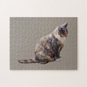 Tabby Cat in Shades of Brown Jigsaw Puzzle