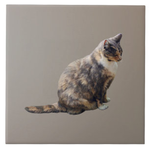 Tabby Cat in Shades of Brown Tile