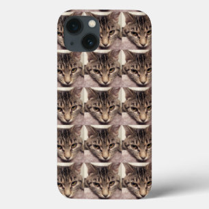 Tabby Cat-Instagram by Shirley Taylor iPhone 13 Case