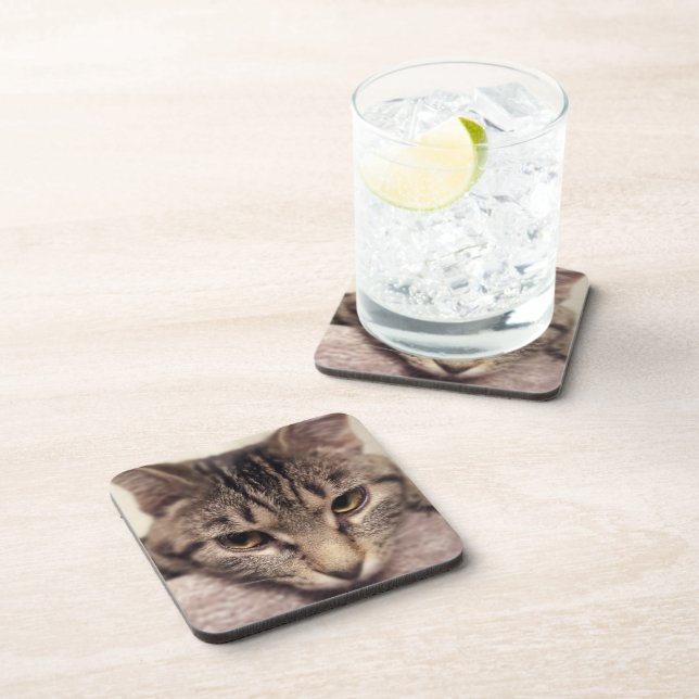 Tabby Cat-Instagram by Shirley Taylor Coaster (Right Side)